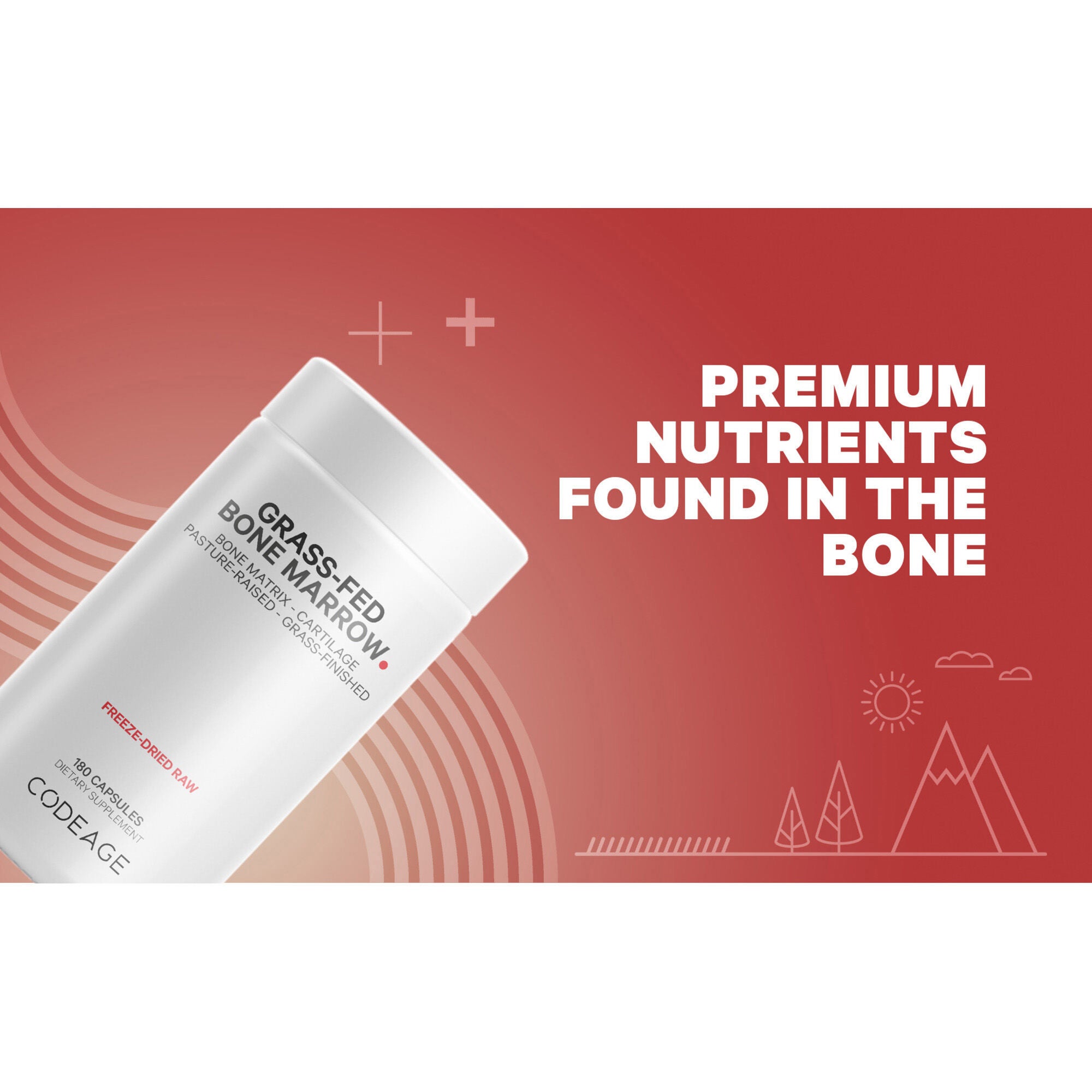 Grass-Fed Bone Marrow - 3000 mg Bone Extract - 180 Capsules (30 Servings)